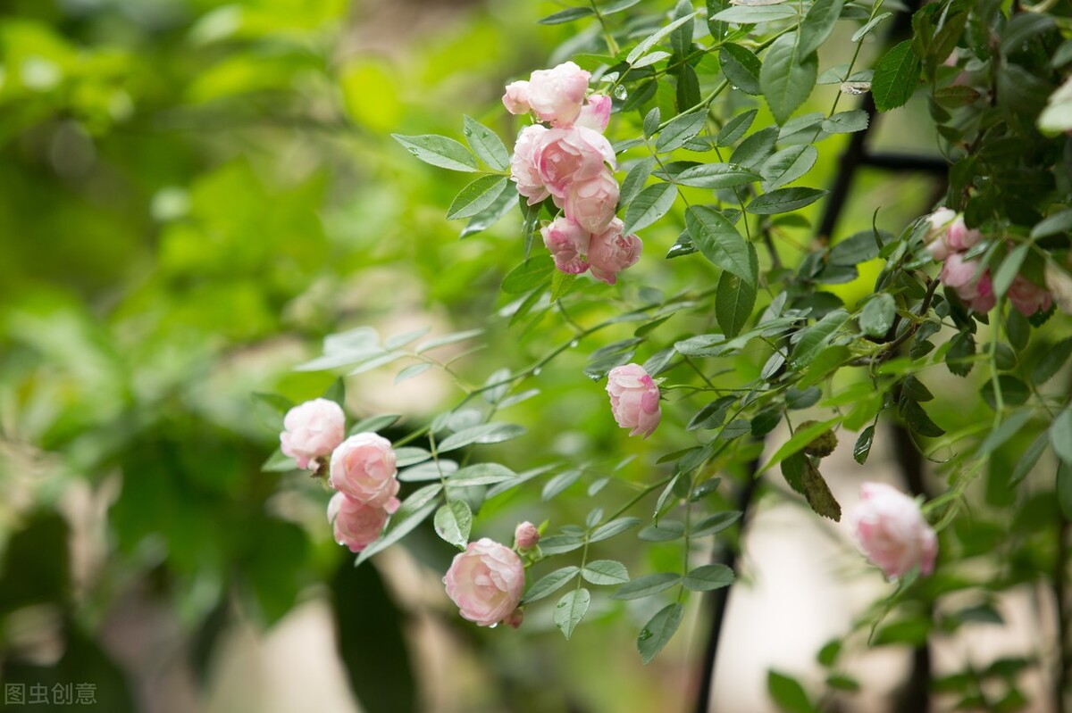 75岁老人临终的诉说,75岁老人的诉说