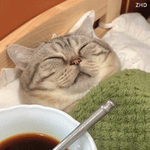 局域网共享文件夹教程,免费局域网文件共享软件