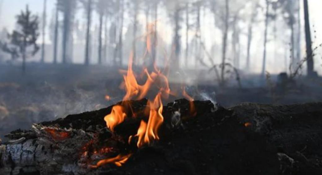 北极新发现甲烷了吗,北极甲烷大爆发是哪一年