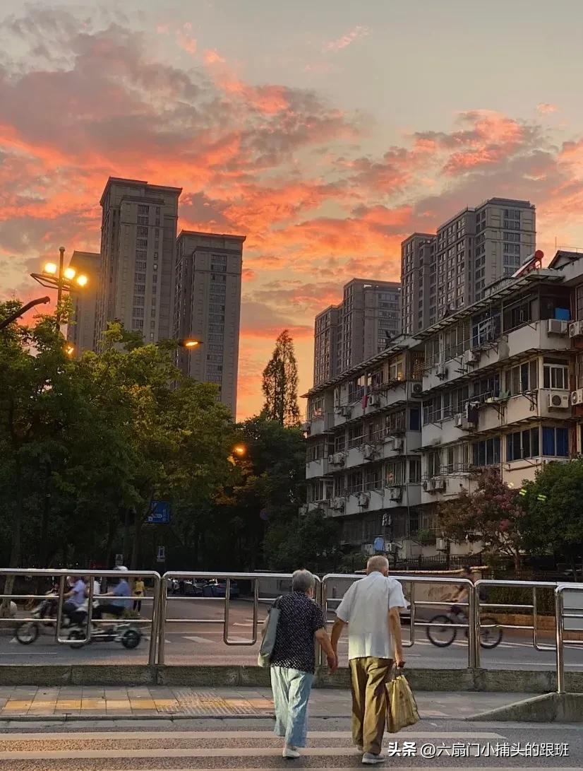 懂懂日记,懂懂日记全集完整版