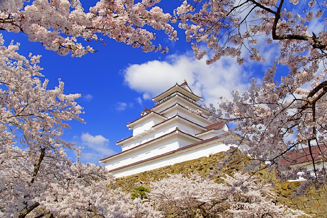 2023日本樱花什么时候开花,2023年日本樱花开放预测