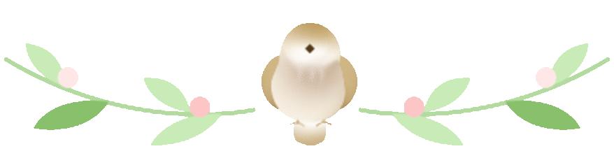 治疗消化道的中药,四种中药治胃病