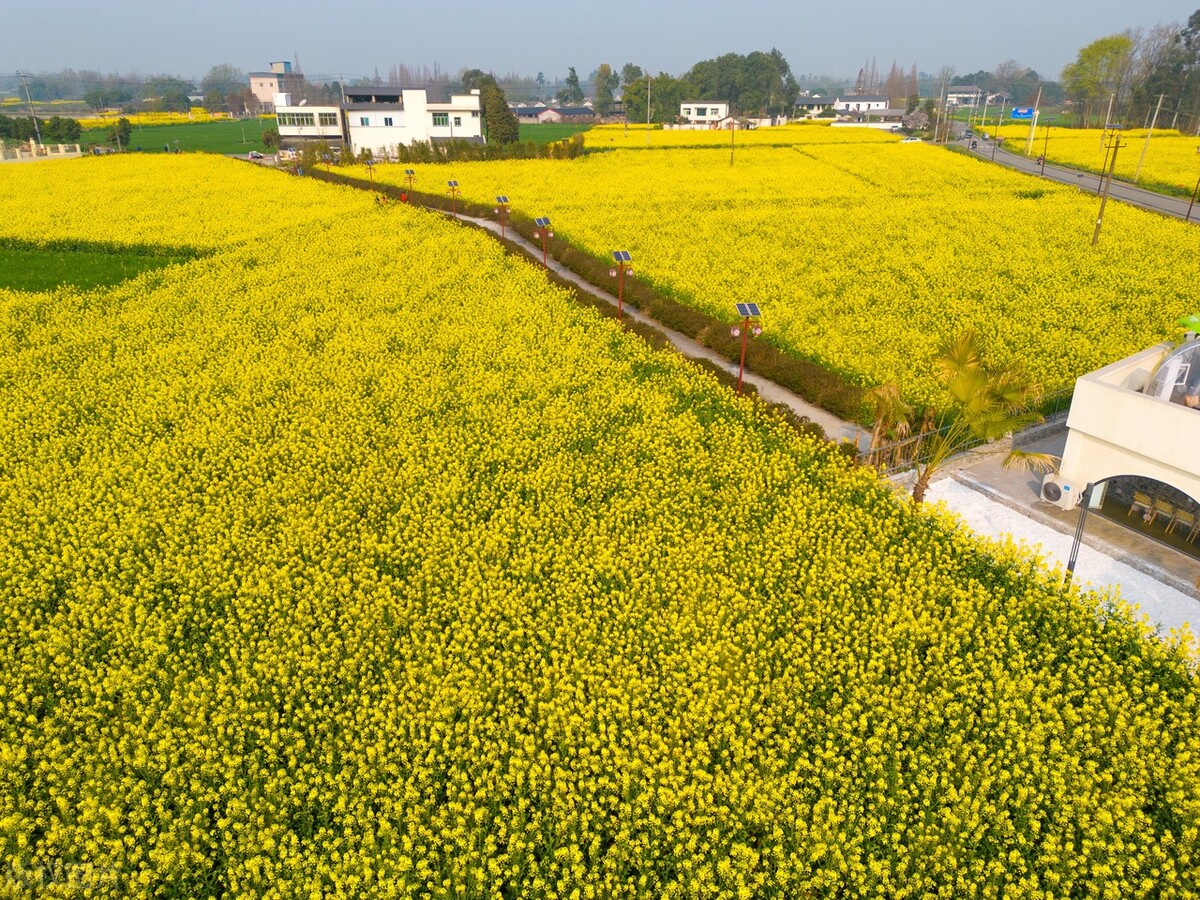 成都和重庆为什么老是吵架,重庆和成都之争叫什么