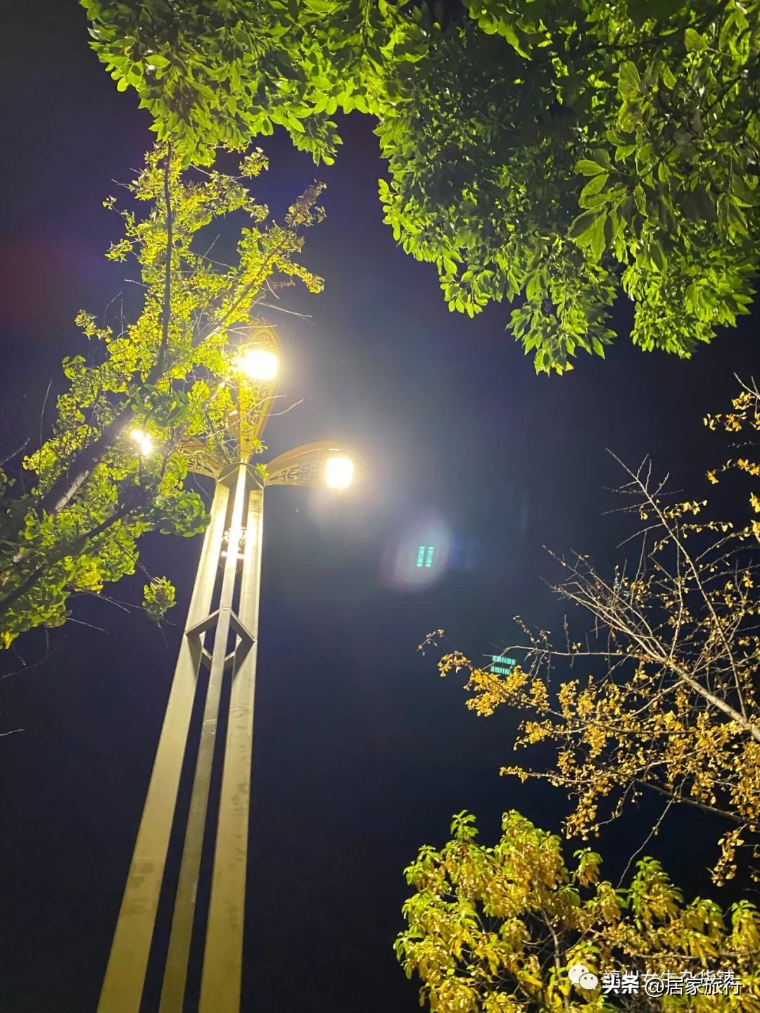 10/28,秋光漫漫下的码字