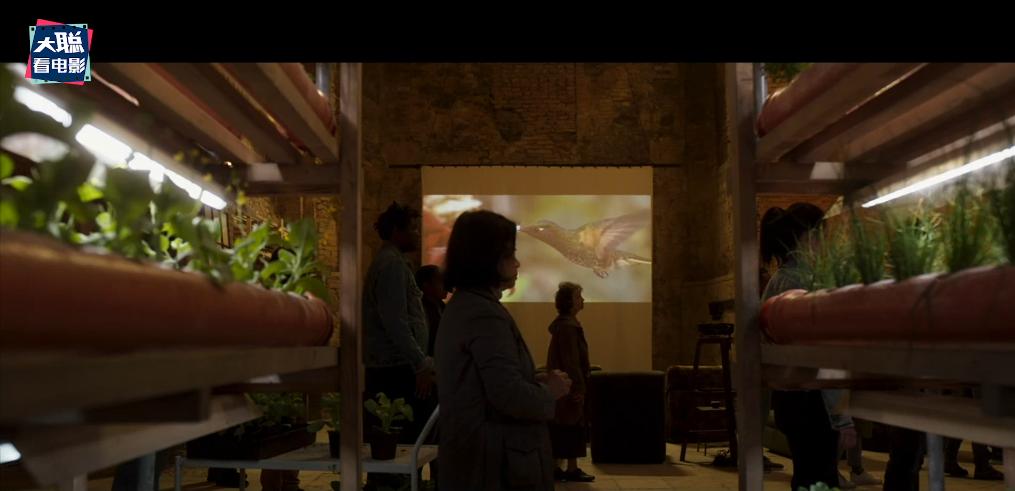 月光骑士第四集深度解析,月光骑士马可