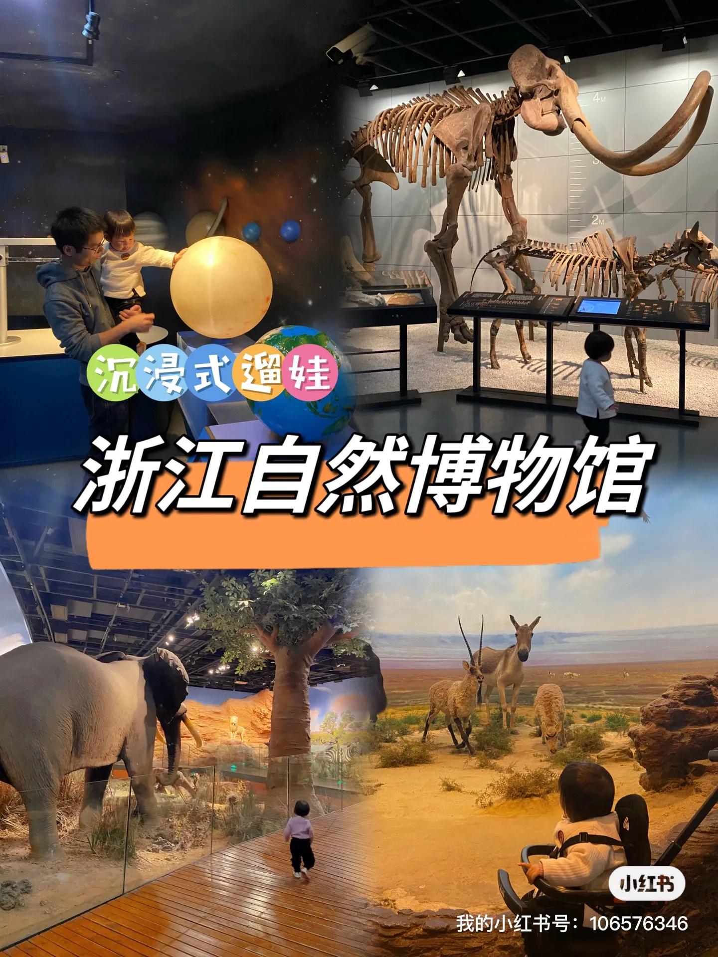 杭州博物馆与浙江博物馆哪个好,杭州博物馆和浙江博物馆