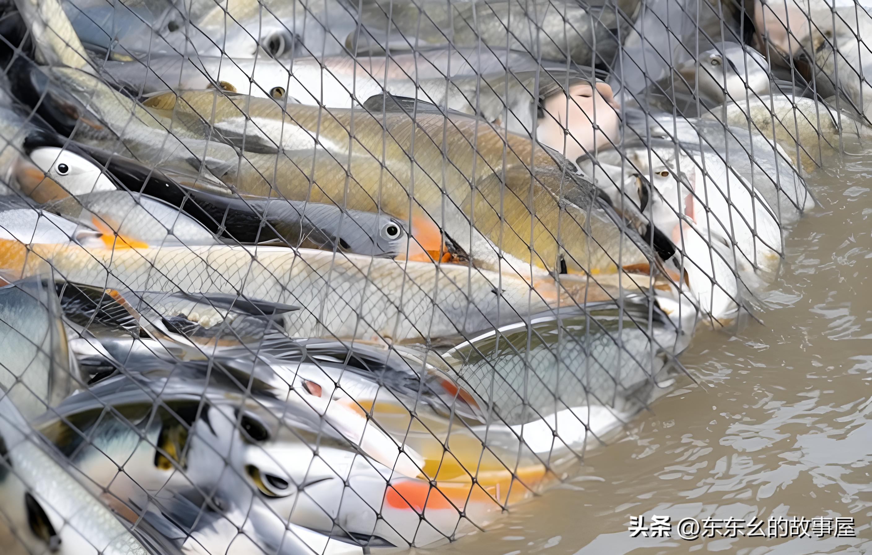 新手如何交易期货,期货交易新手入门视频教程