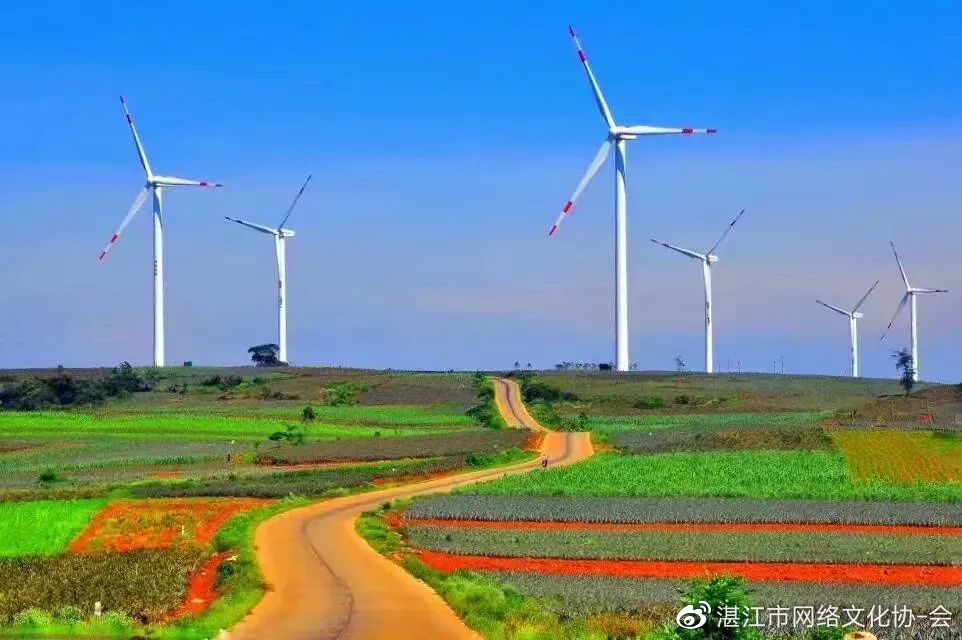 一夜爆火!海南游客骑电动车一日游徐闻
