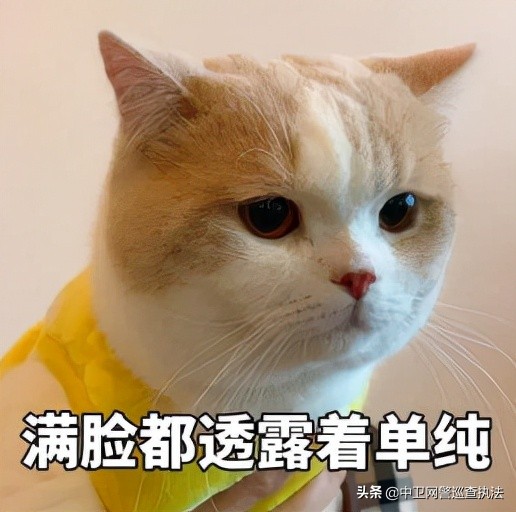 警方提醒总有人教你赚钱,警方提醒躺赚骗局