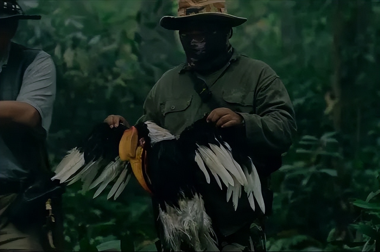 泰国R级电影尺度撕裂!色香味美俱佳揭露残酷现实