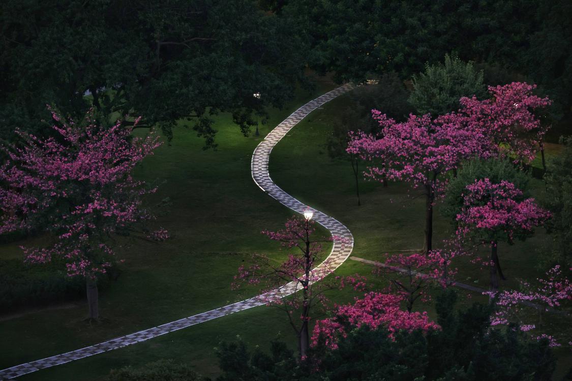 他用镜头记录旅行,他用镜头记录下了一路以来的成长