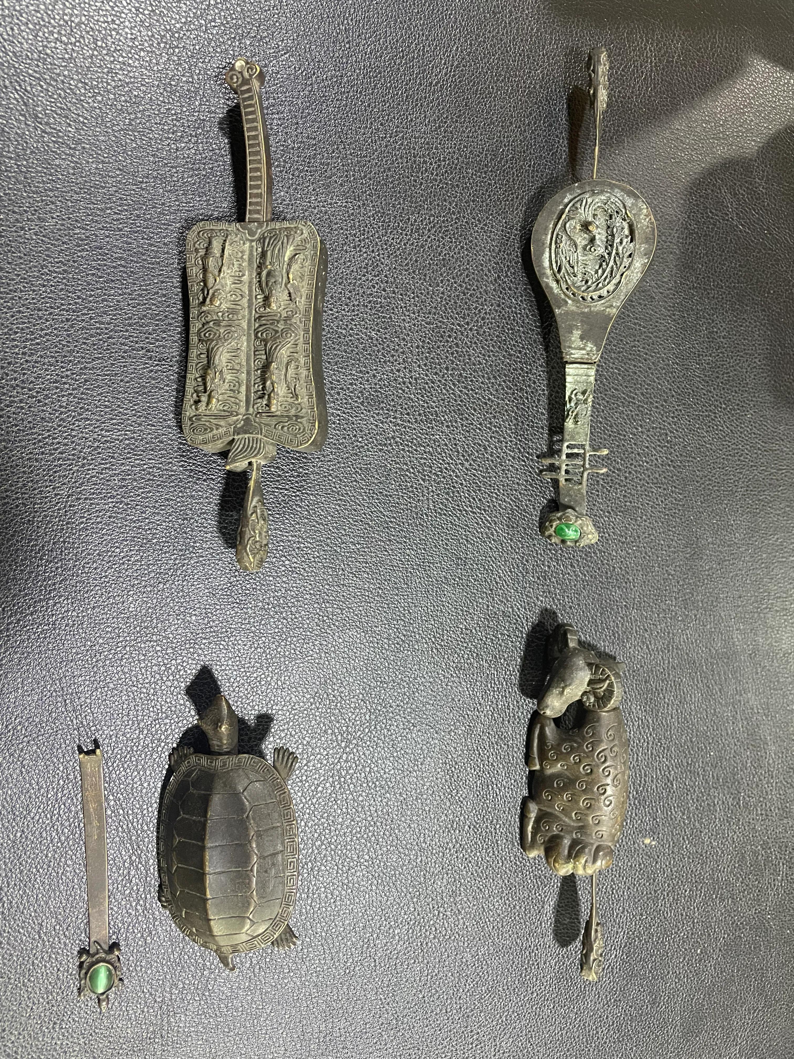 神奇的乌龟绘本故事,神奇的乌龟小视频