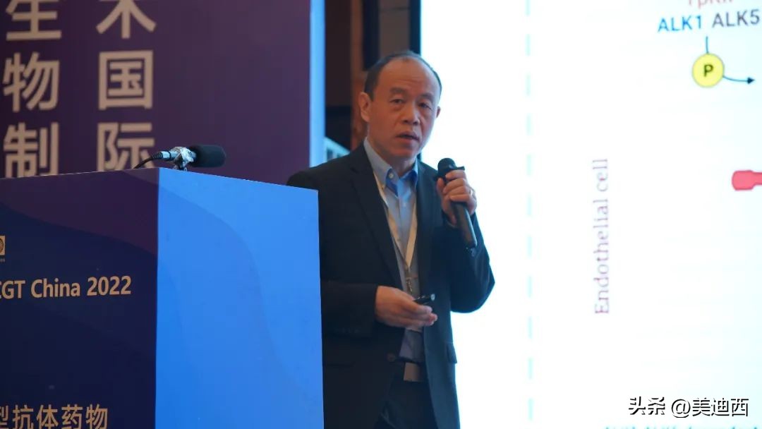 抗体药物最新技术,新型抗体