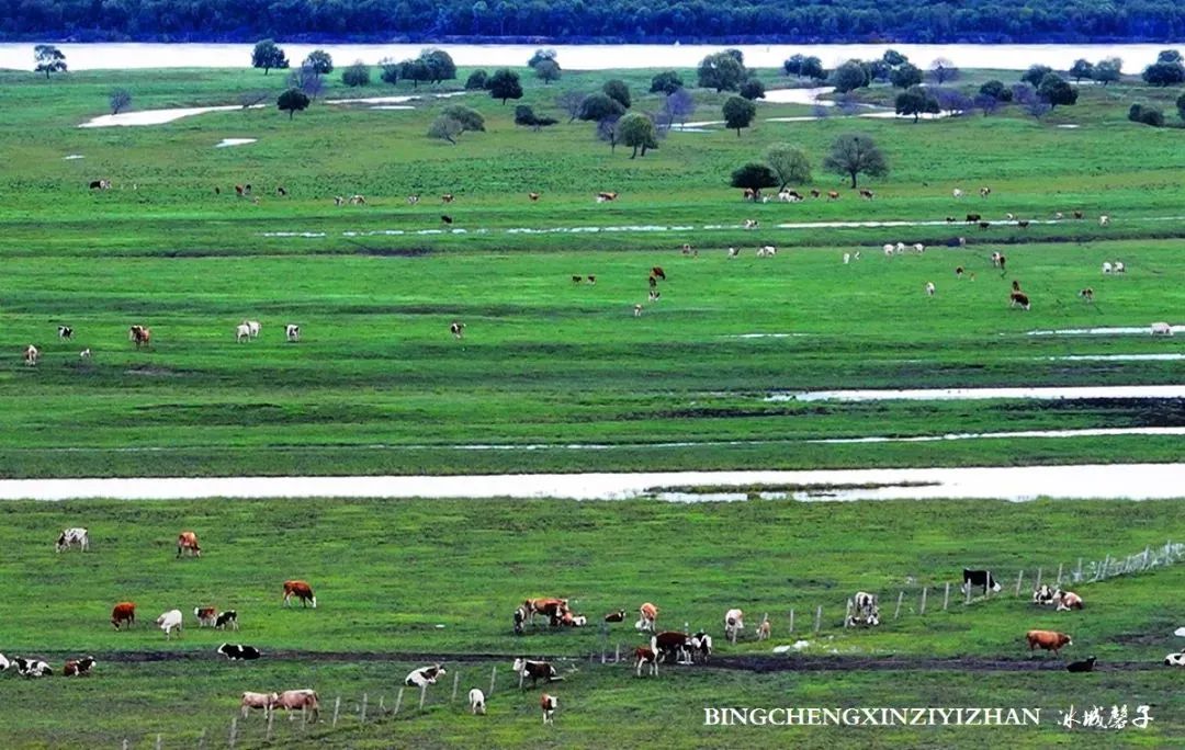 中俄边境线上的小城：逊克，披着“红珠绿边银装”的生态边城