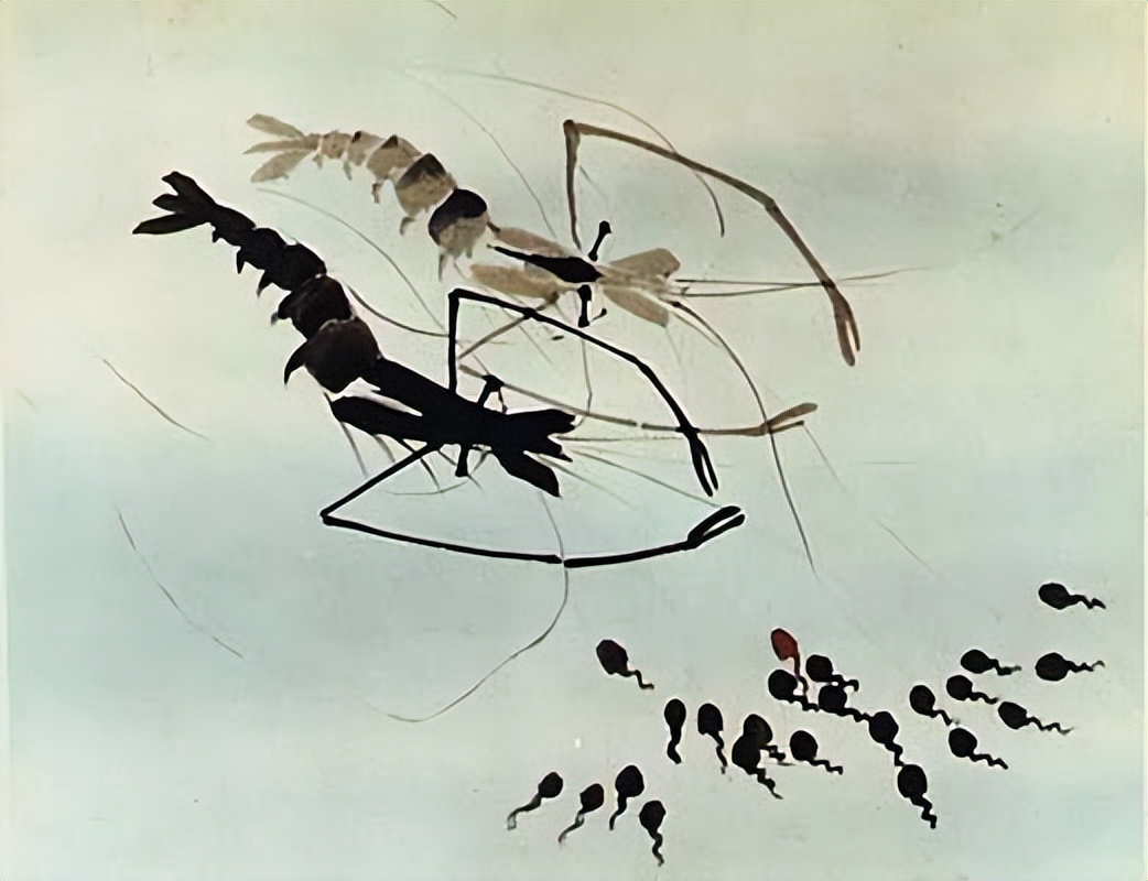 暑假必让孩子看的三部动画电影,暑假带孩子看什么动画电影