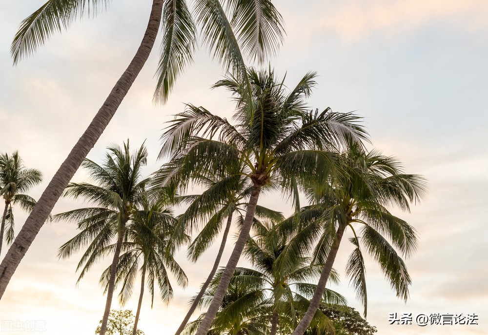 “打擦边球式”的带货直播，迎合了谁的口味？