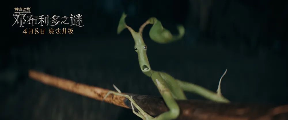 神奇动物3最新上映,神奇动物3电影评价
