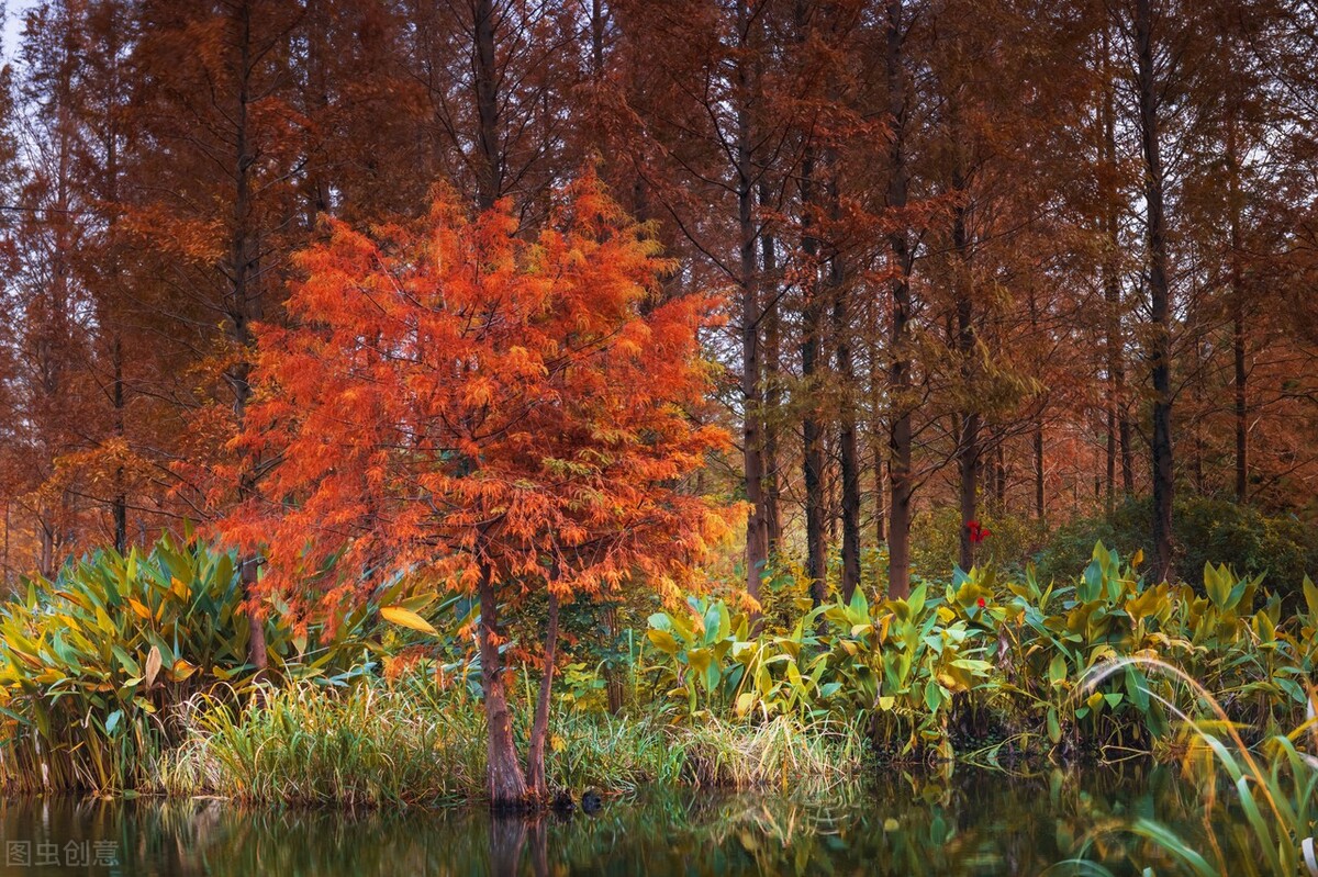 秋日上海好去处,上海秋日风景
