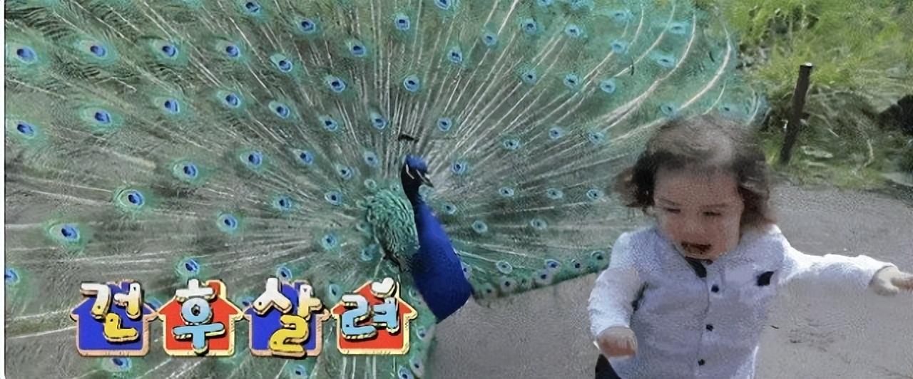 韩国国脚娶波兰老婆,韩国国脚瑞士老婆