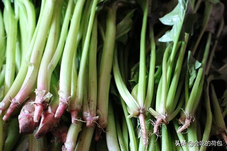 各种蔬菜的保鲜储存方法,各种蔬菜的储存保鲜方法