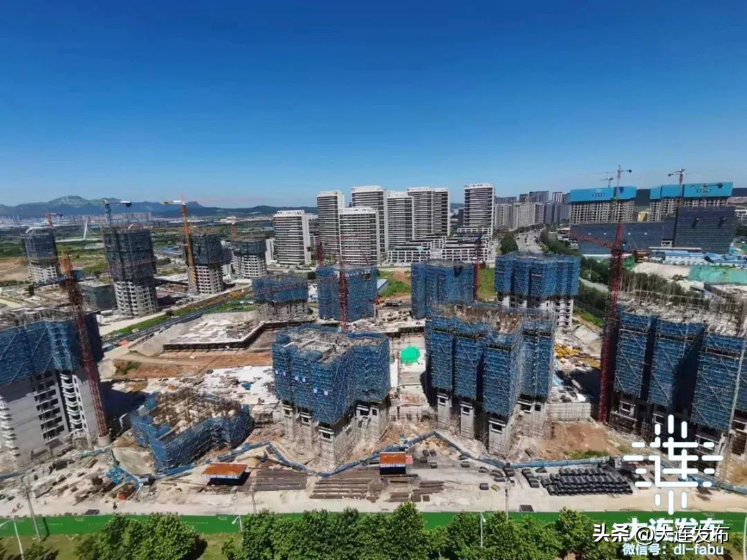 金普新区56项重点任务,金普新区规划项目在哪建设