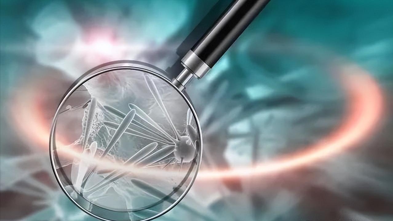 十大黑科技有哪些,十大黑科技最新