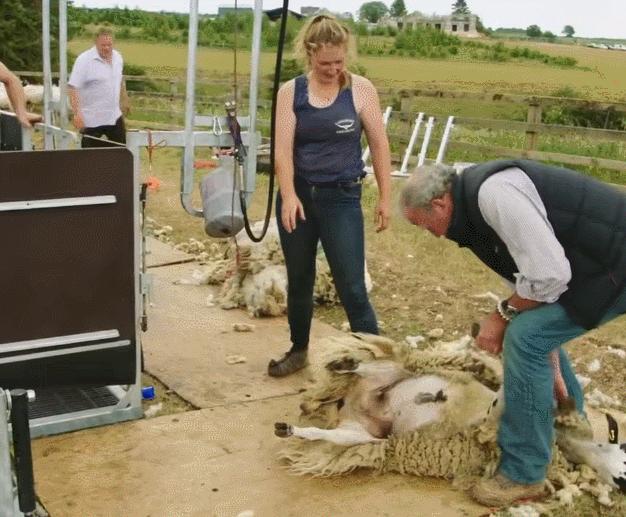 英国富豪农场纪录片,英国富豪农场主纪录片