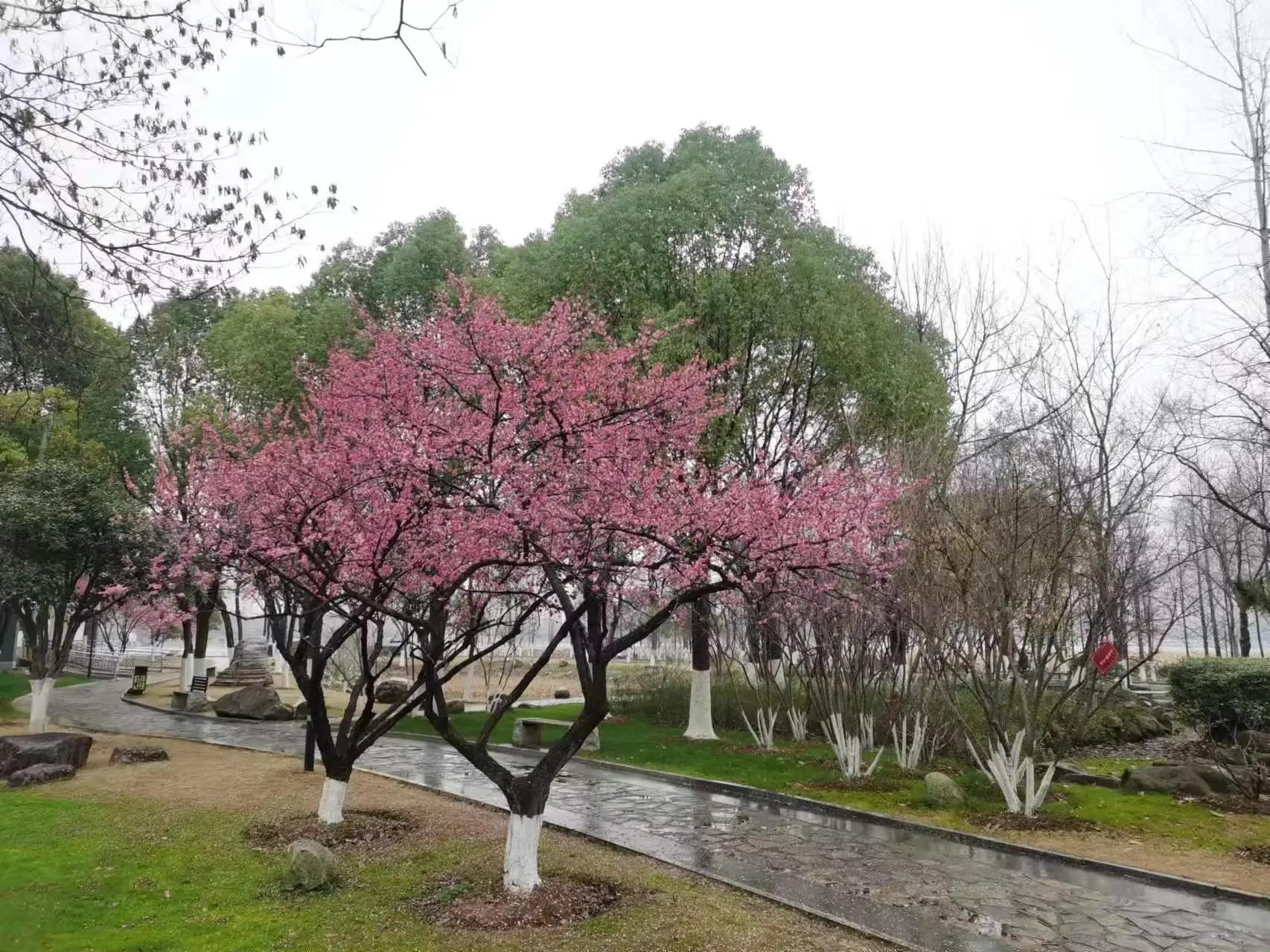 现在货币基金收益好的有哪几个,货币基金收益为什么会越来越低