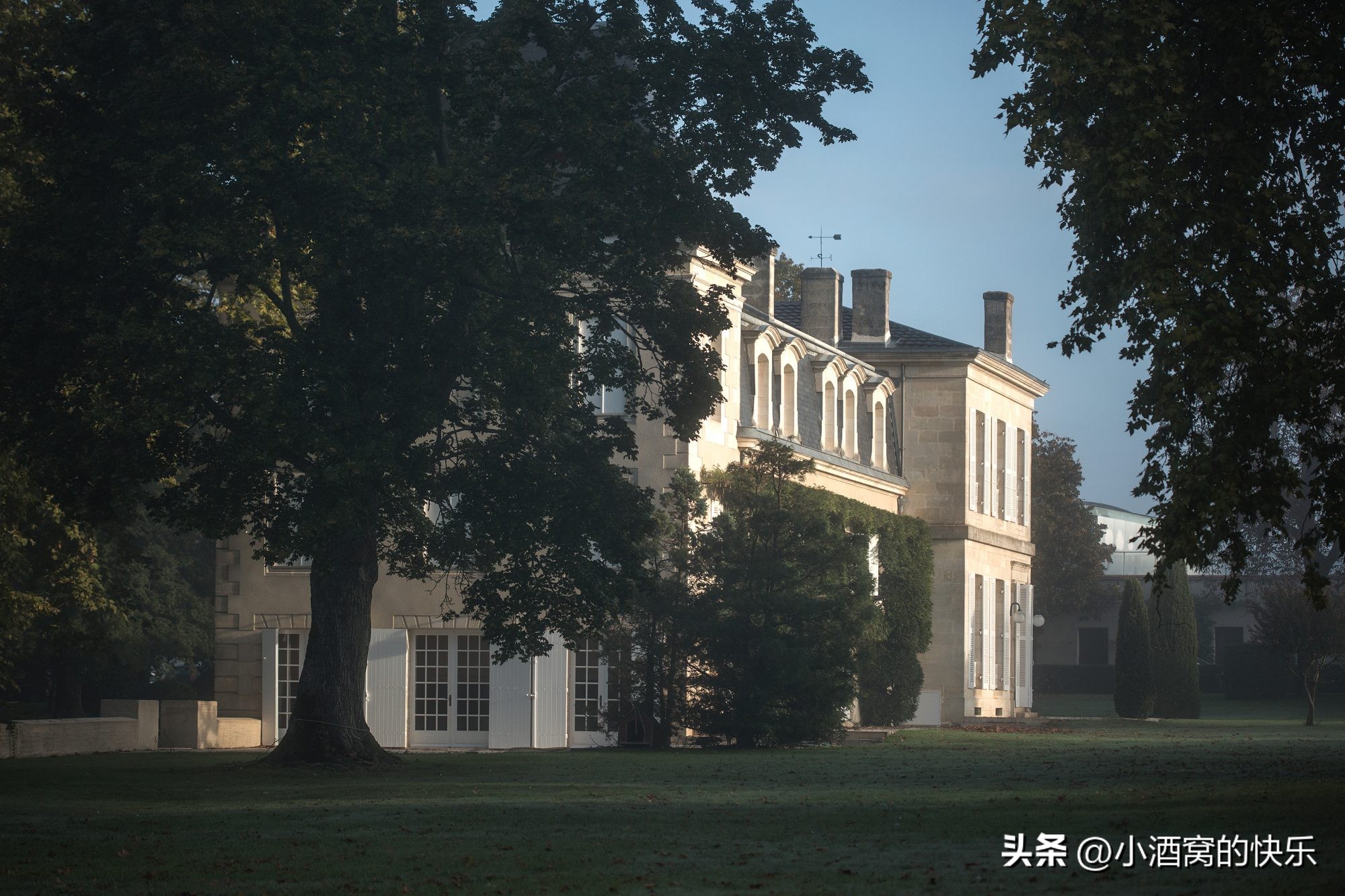 法国波尔多labbaye酒庄,法国波尔多chateaubaby酒庄