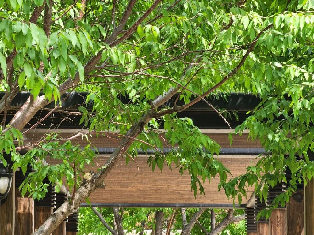 谁是影像机皇,谁才是手机机皇