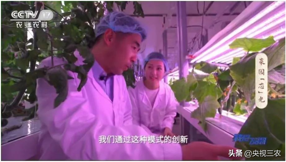 我爱发明｜了不起的创造力，正是乡村振兴的“新势力”