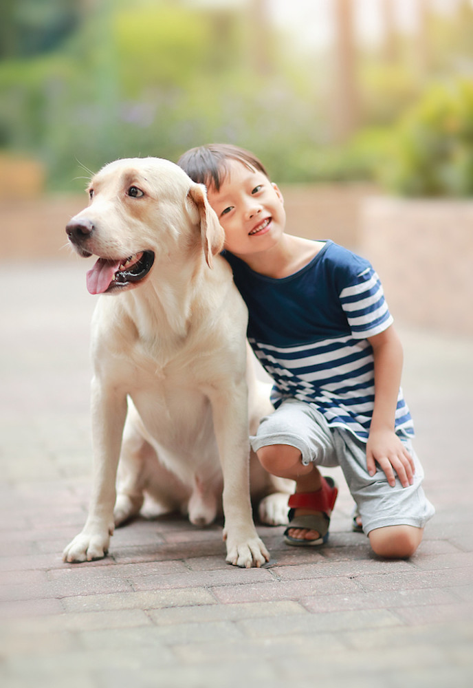 家里有小孩的适合养什么品种狗狗,最适合有小孩家庭养的狗狗