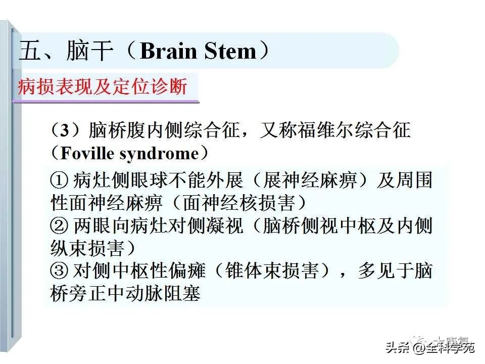 神经系统的影像与解剖定位,最全神经解剖图
