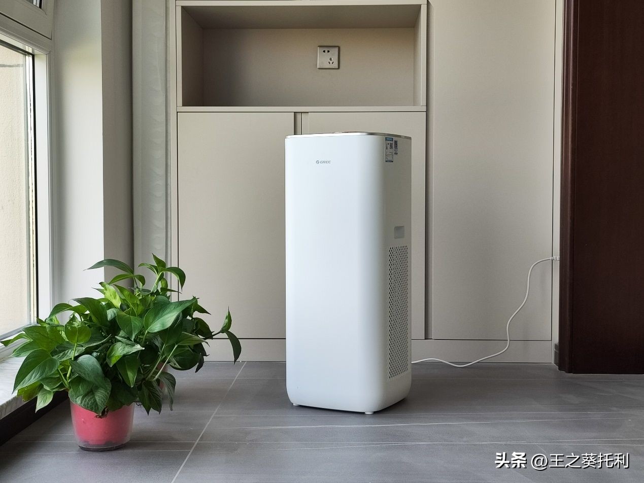 空气净化器除甲醛值300可以吗,格力空气净化器除甲醛评测排名