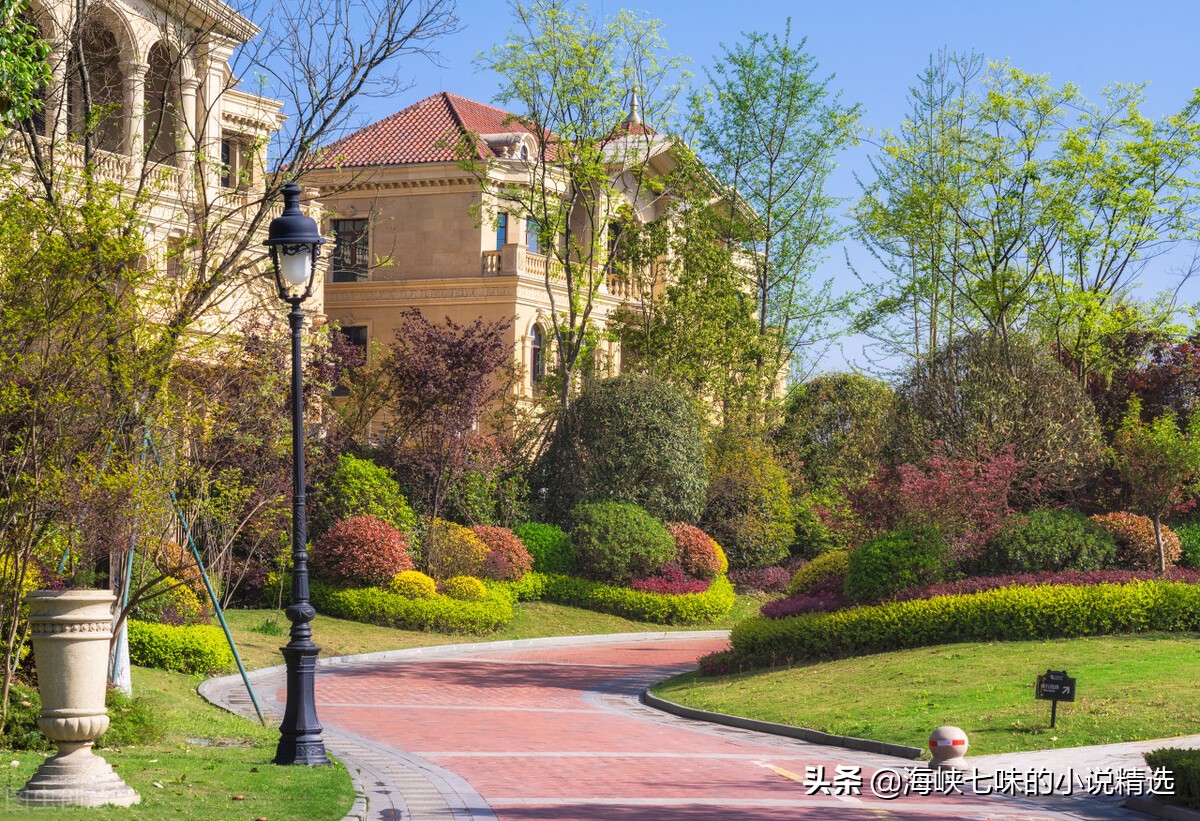 白月光她不奉陪了小说免费阅读,白月光回来了小说全文免费阅读