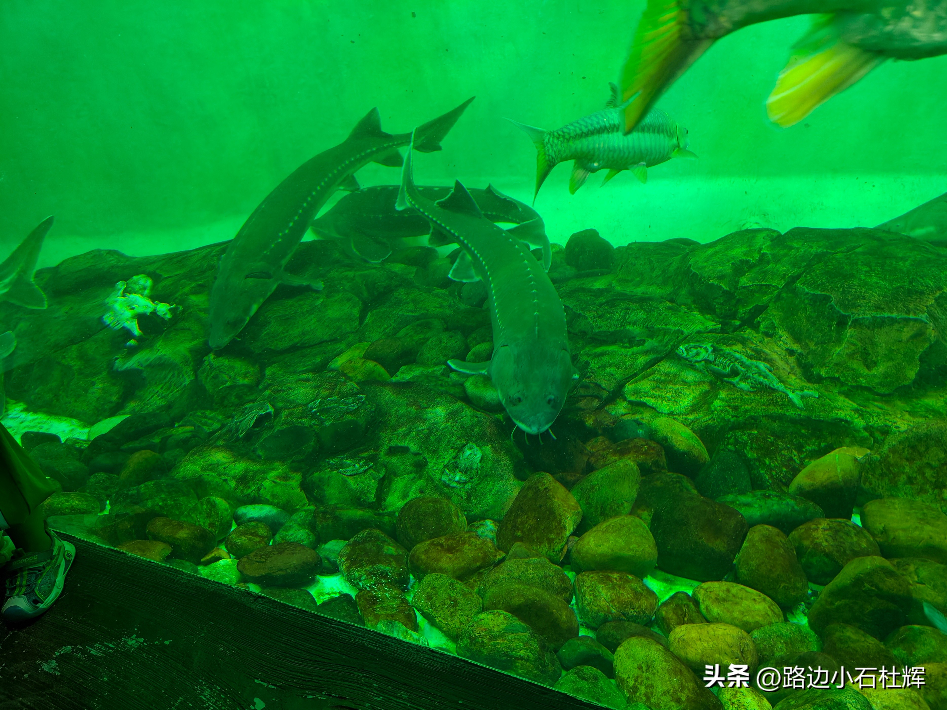 游游人间,游旅人间