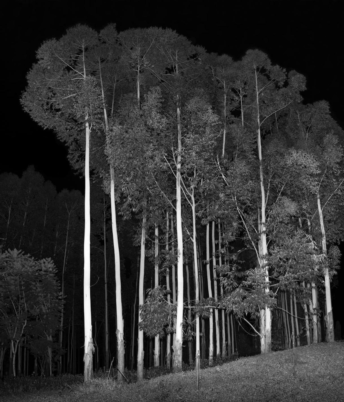 风景后期水墨,风景后期前后对比