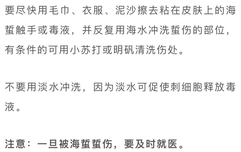 夏天去海边保命冷知识,去海边防蚊虫用什么