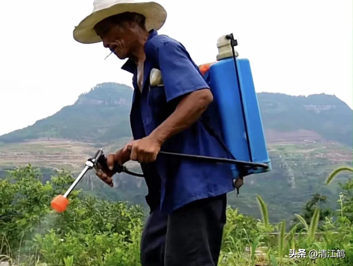 滴酸草甘膦和草甘膦哪个效果好,滴酸草甘膦它的作用是什么