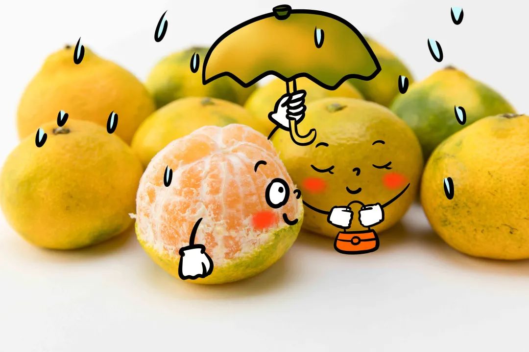 秋季干燥适合吃的水果,秋天干燥吃什么水果好