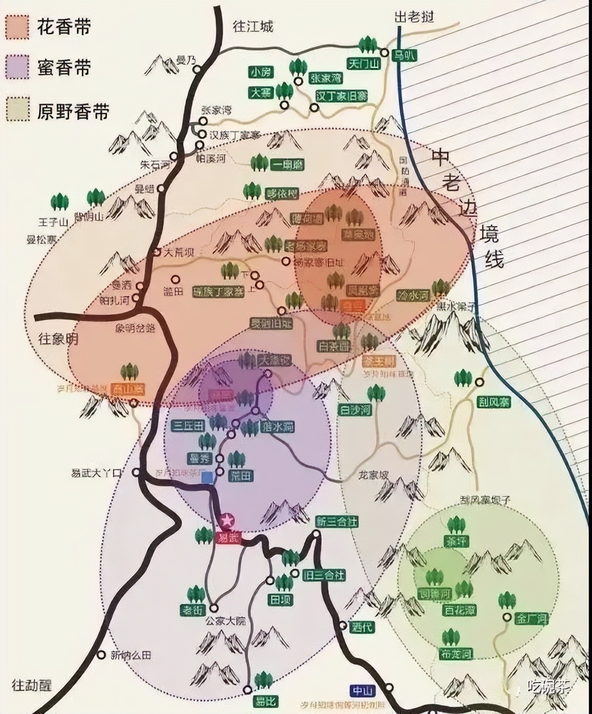 普洱茶各大山头的特性和口感图文,普洱茶老茶头的口感特点有哪些
