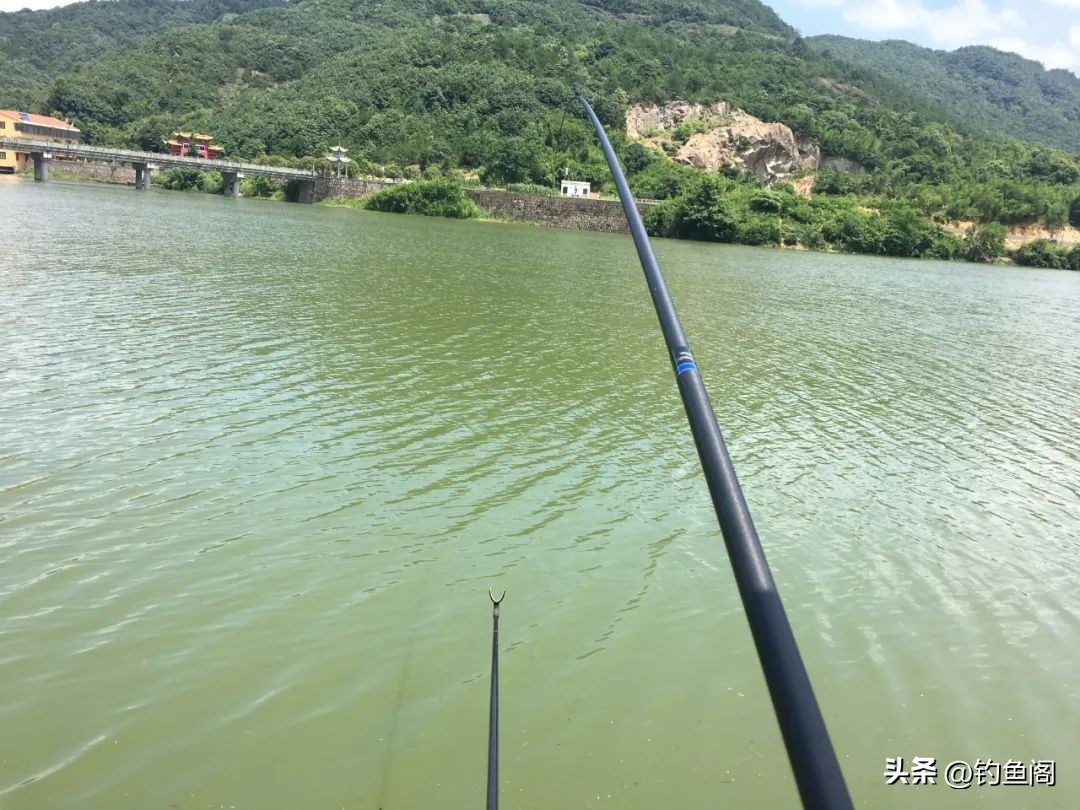 钓鲢鳙的调漂正确方法与步骤图解,钓鲢鳙的调漂的正确方法