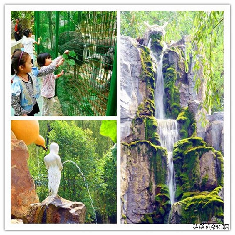 义煤新安矿大合唱,义煤最新事件