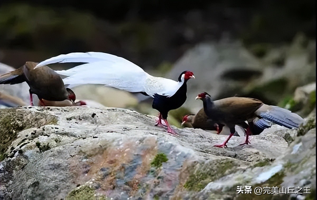 广州5a景区正佳广场,广州5a景点排名大全