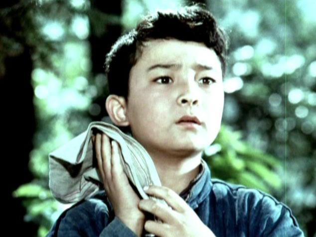 老电影红星闪闪潘冬子是谁演的,1974年闪闪的红星潘冬子谁扮演的