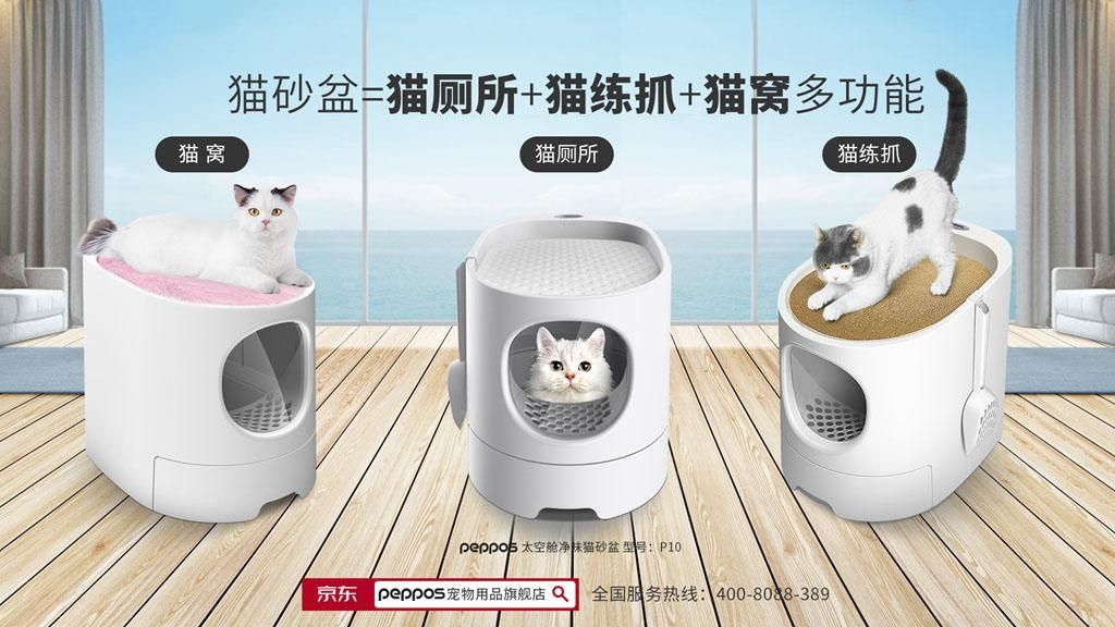 野生保护动物领养,野生小动物领养