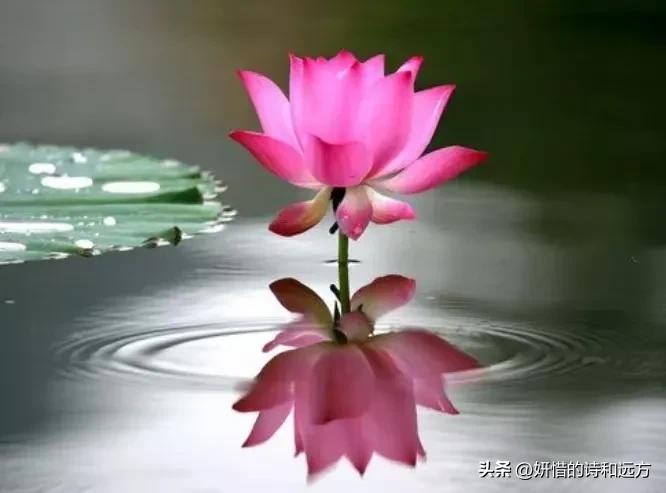 春天的诗,春天的诗歌现代诗