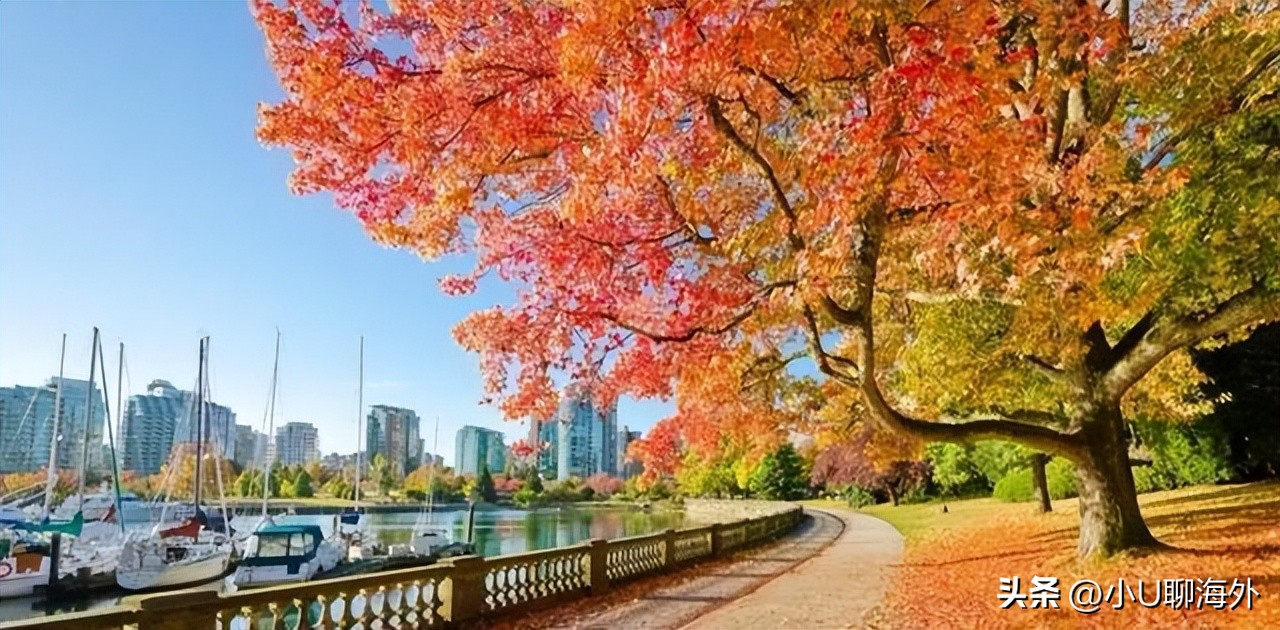 英美澳加留学申请简单吗,美英哪个国家签证容易申请