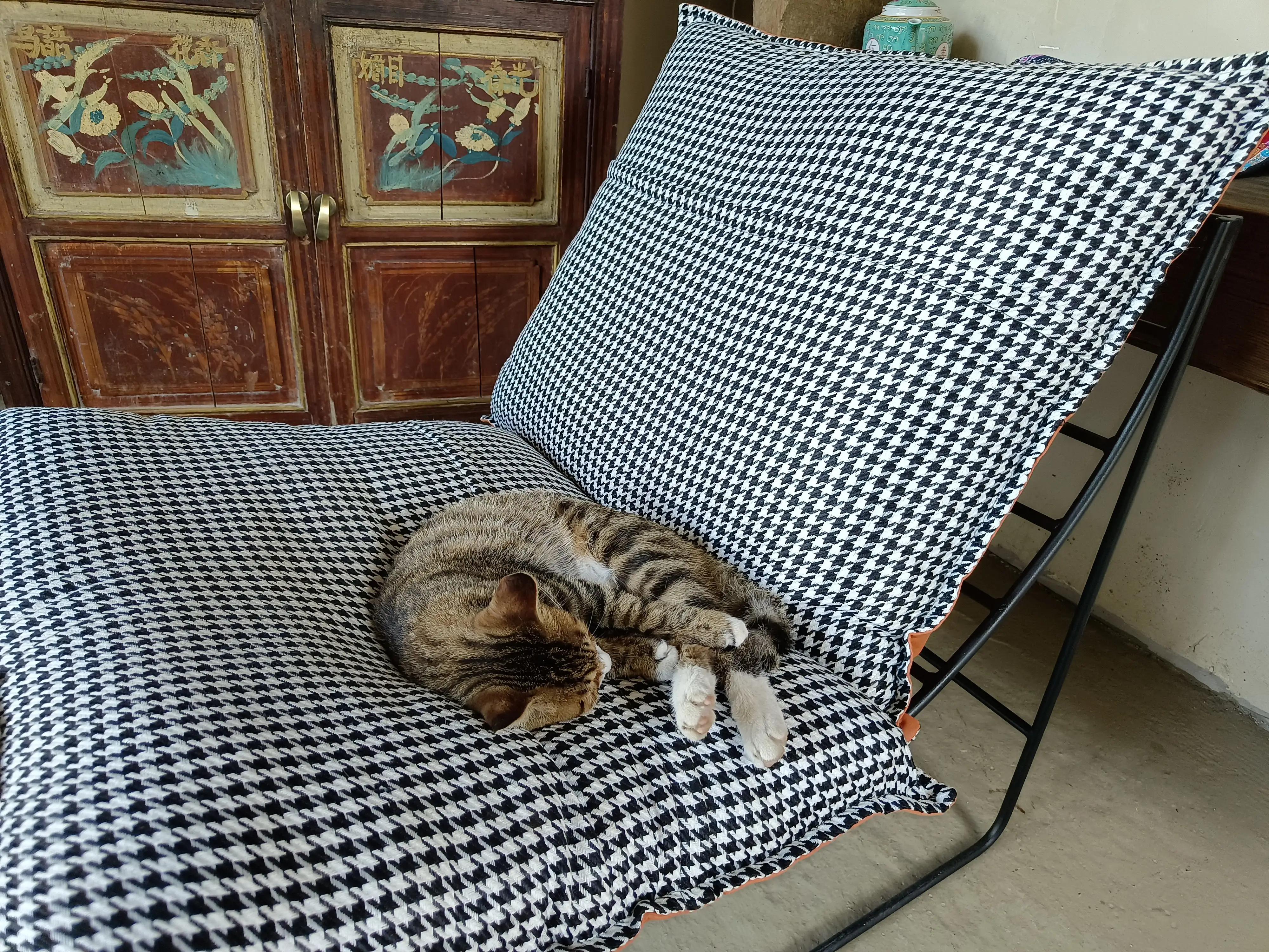 神农架上的民宿,神农架风景民宿推荐