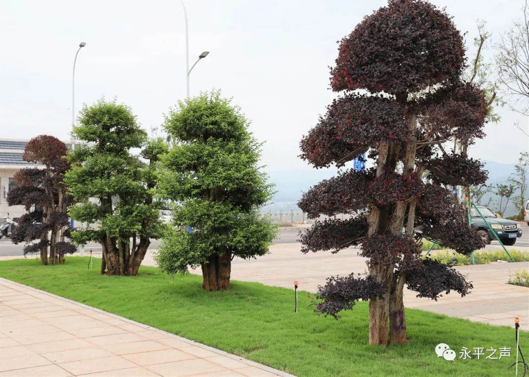 「我们的新时代」永平：组建工作专班，博南工业（物流）园区建设跑出加速度